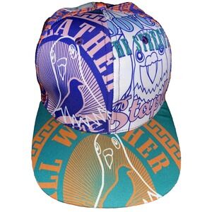 Staple Snapback Hat Pigeon Purple Streetwear Skater Art To Wear Colorful Hip Hop